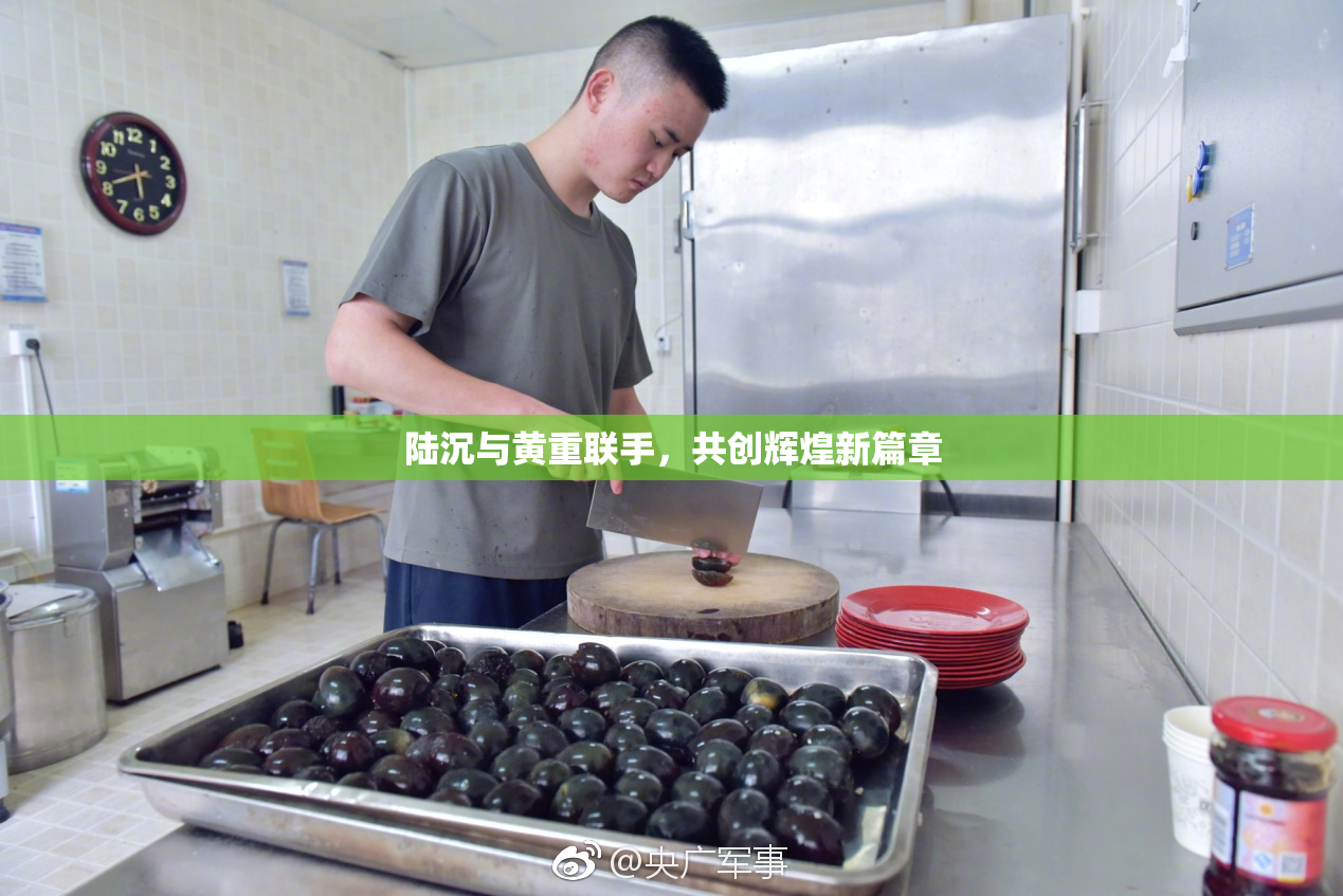 陆沉与黄重联手，共创辉煌新篇章