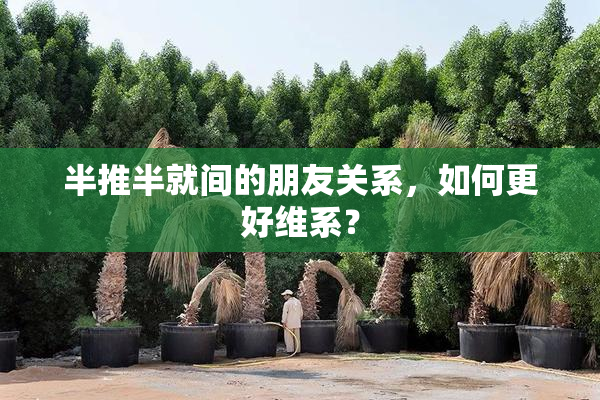半推半就间的朋友关系，如何更好维系？