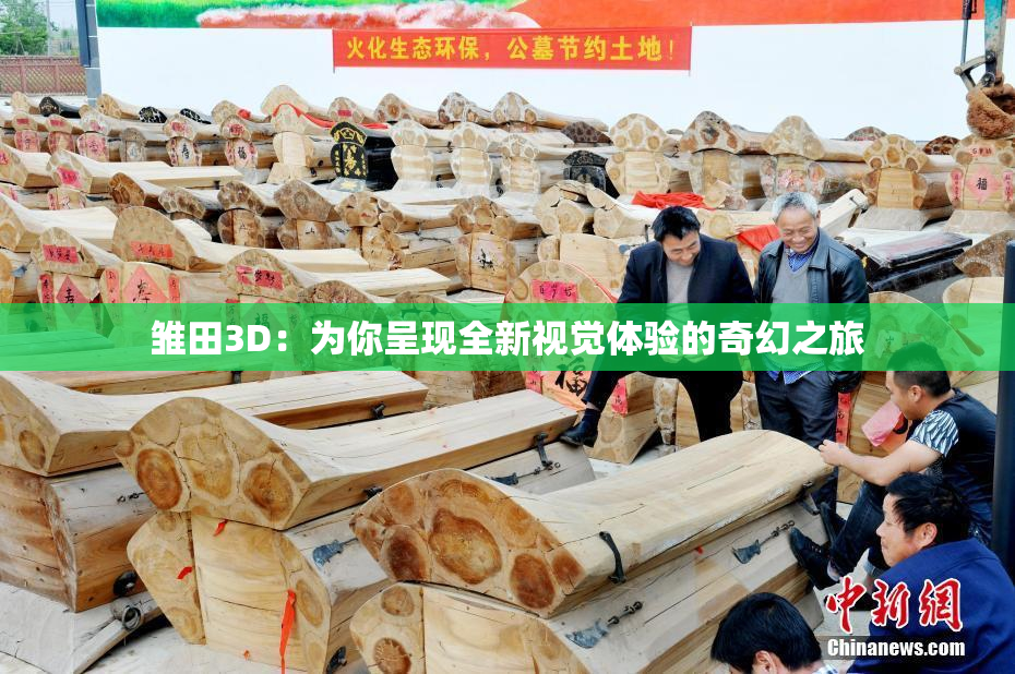 雏田3D：为你呈现全新视觉体验的奇幻之旅