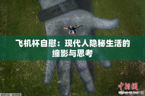 飞机杯自慰：现代人隐秘生活的缩影与思考