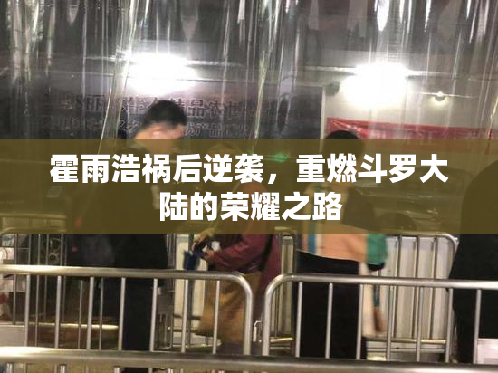 霍雨浩祸后逆袭，重燃斗罗大陆的荣耀之路