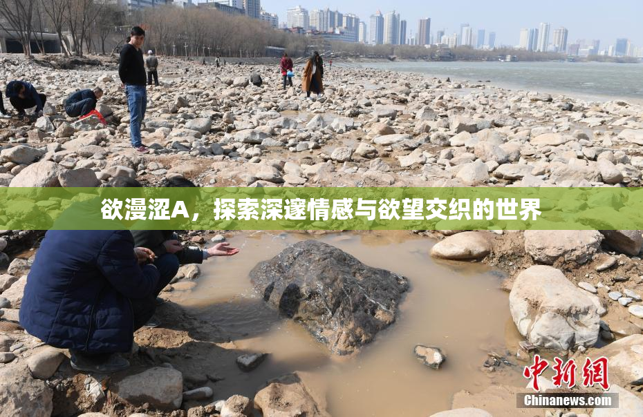欲漫涩A，探索深邃情感与欲望交织的世界