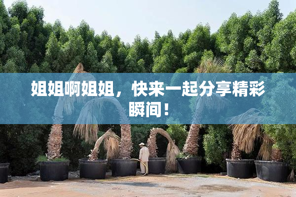 姐姐啊姐姐，快来一起分享精彩瞬间！