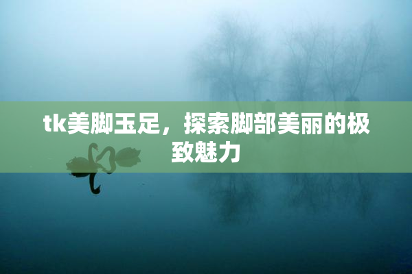 tk美脚玉足，探索脚部美丽的极致魅力
