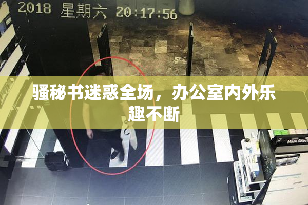 骚秘书迷惑全场，办公室内外乐趣不断