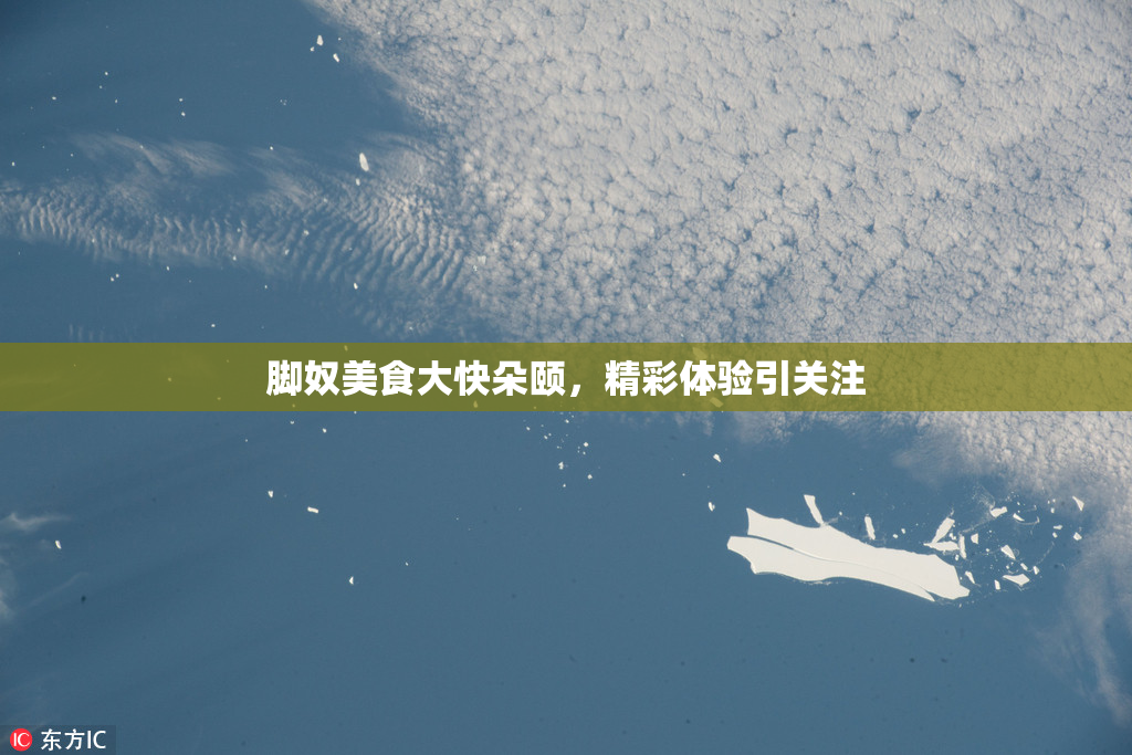 脚奴美食大快朵颐，精彩体验引关注