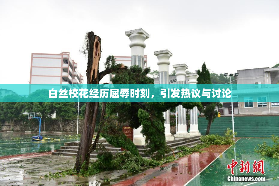 白丝校花经历屈辱时刻，引发热议与讨论