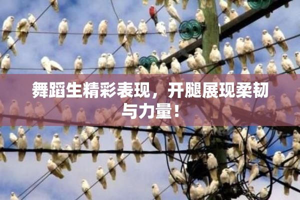 舞蹈生精彩表现，开腿展现柔韧与力量！