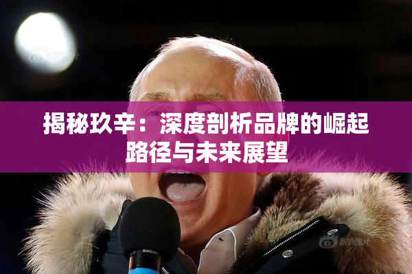 揭秘玖辛：深度剖析品牌的崛起路径与未来展望