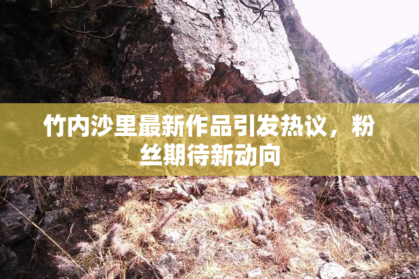竹内沙里最新作品引发热议，粉丝期待新动向
