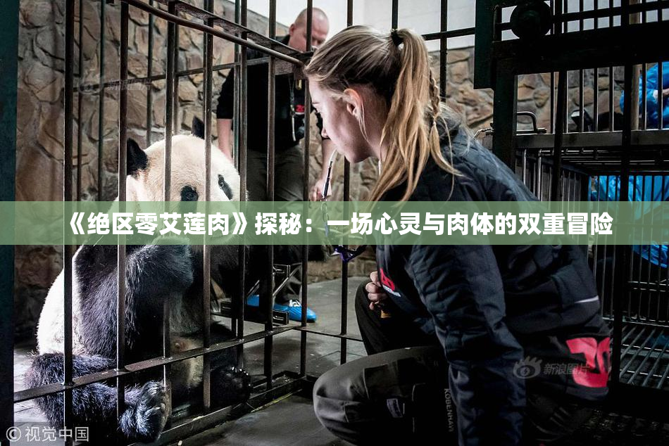 《绝区零艾莲肉》探秘：一场心灵与肉体的双重冒险