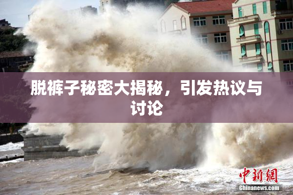 脱裤子秘密大揭秘，引发热议与讨论