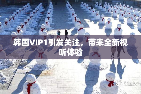 韩国VIP1引发关注，带来全新视听体验