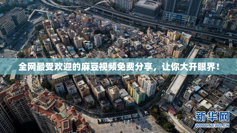 全网最受欢迎的麻豆视频免费分享，让你大开眼界！