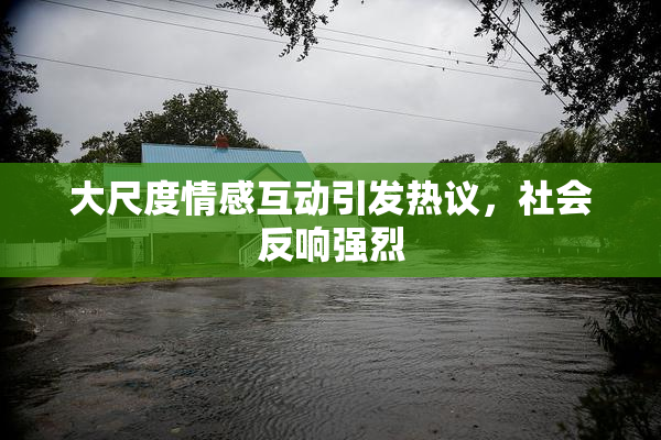 大尺度情感互动引发热议，社会反响强烈