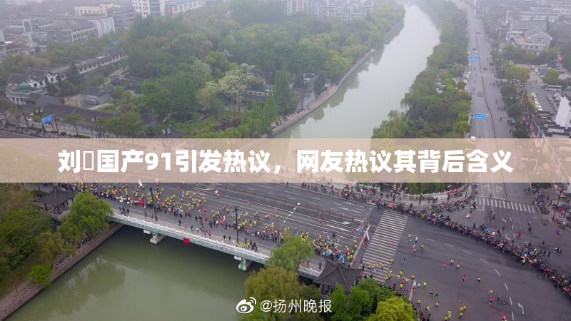 刘玥国产91引发热议，网友热议其背后含义