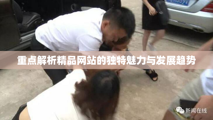 重点解析精品网站的独特魅力与发展趋势