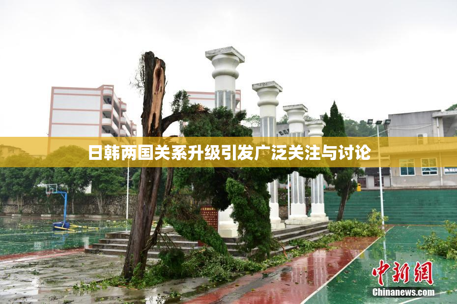 日韩两国关系升级引发广泛关注与讨论