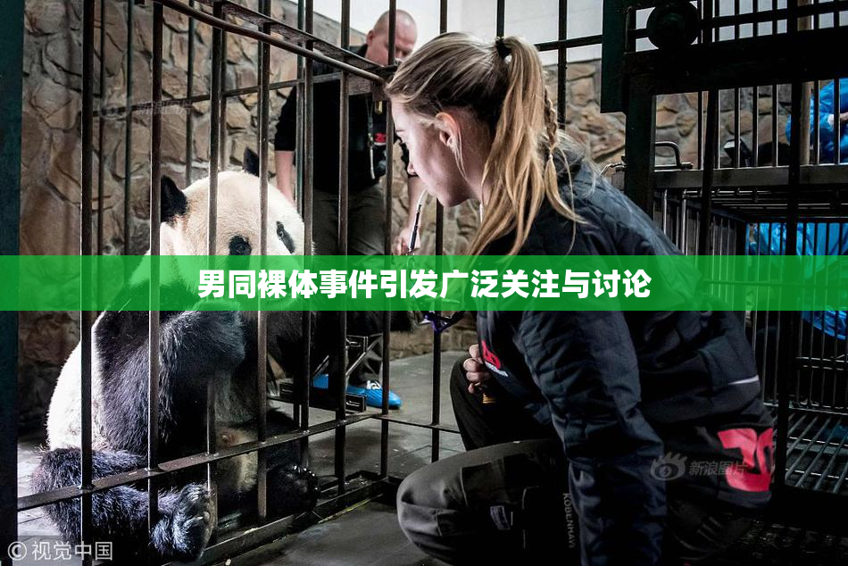 男同裸体事件引发广泛关注与讨论