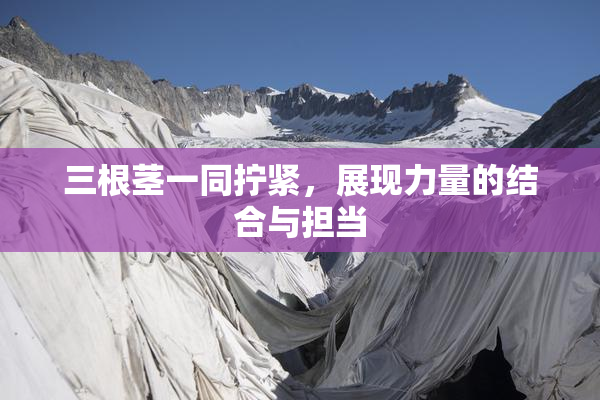 三根茎一同拧紧，展现力量的结合与担当