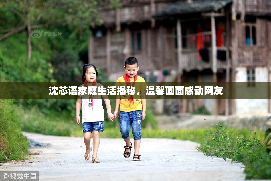 沈芯语家庭生活揭秘，温馨画面感动网友