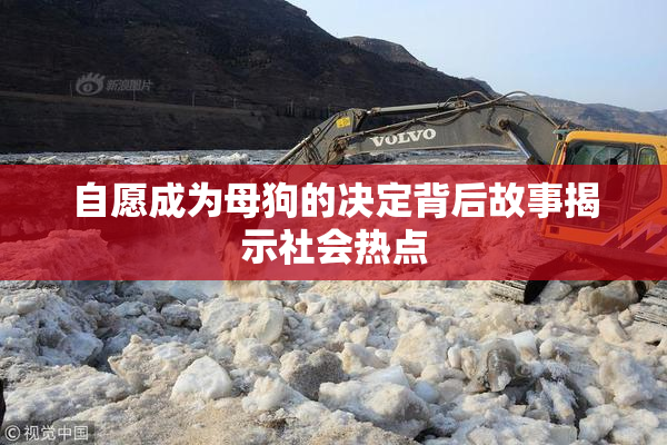 自愿成为母狗的决定背后故事揭示社会热点