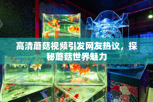 高清蘑菇视频引发网友热议，探秘蘑菇世界魅力