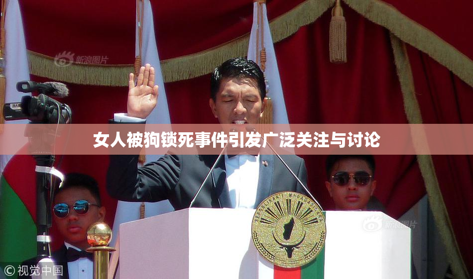 女人被狗锁死事件引发广泛关注与讨论