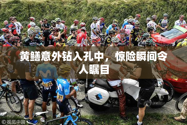 黄鳝意外钻入孔中，惊险瞬间令人瞩目