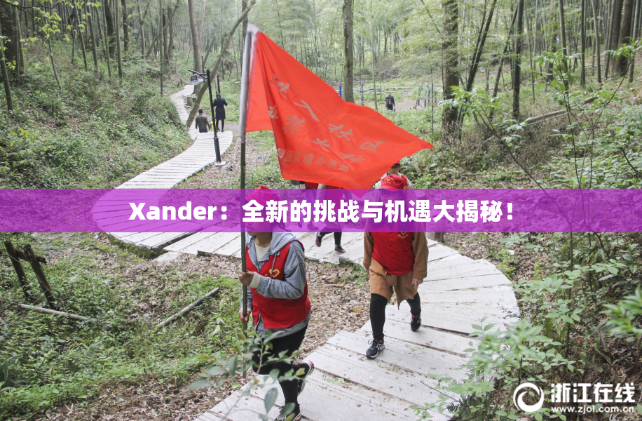 Xander：全新的挑战与机遇大揭秘！