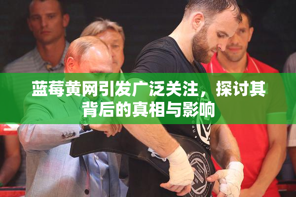 蓝莓黄网引发广泛关注，探讨其背后的真相与影响