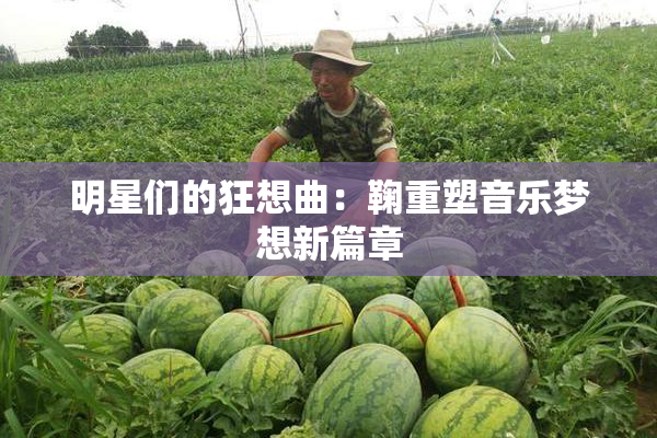 明星们的狂想曲：鞠重塑音乐梦想新篇章