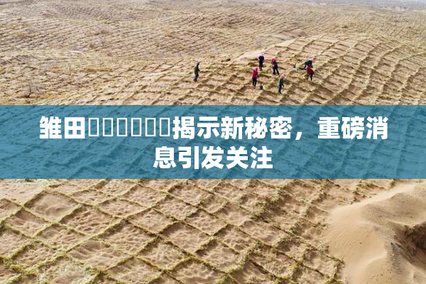 雏田❌‌❌‌❌‌揭示新秘密，重磅消息引发关注
