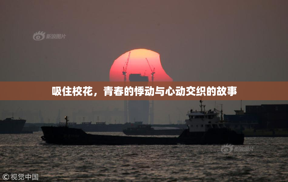 吸住校花，青春的悸动与心动交织的故事