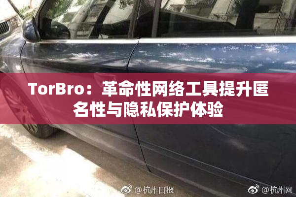 TorBro：革命性网络工具提升匿名性与隐私保护体验