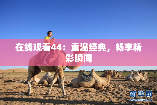 在线观看44：重温经典，畅享精彩瞬间