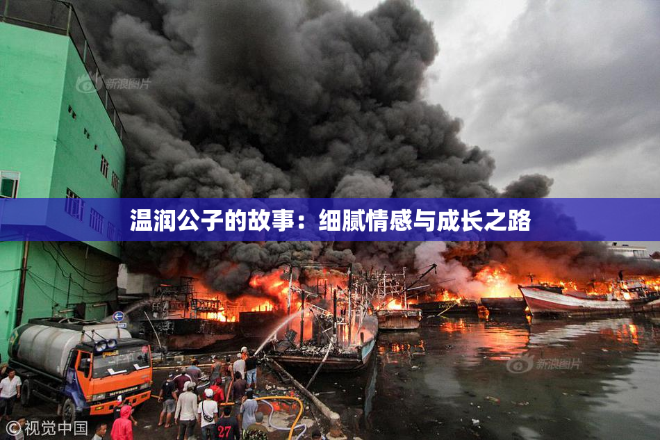 温润公子的故事：细腻情感与成长之路