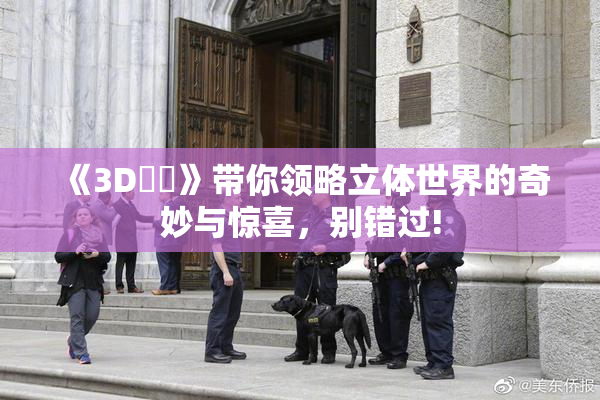《3D姉弚》带你领略立体世界的奇妙与惊喜，别错过!