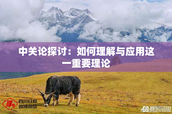 中关论探讨：如何理解与应用这一重要理论