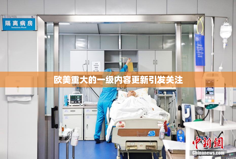 欧美重大的一级内容更新引发关注