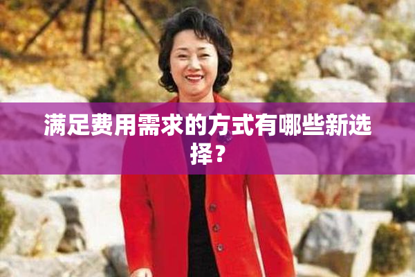 满足费用需求的方式有哪些新选择？