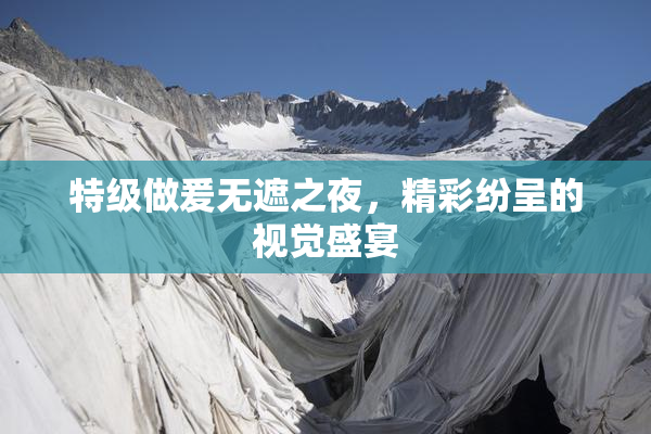 特级做爰无遮之夜，精彩纷呈的视觉盛宴