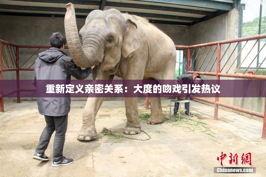 重新定义亲密关系：大度的吻戏引发热议