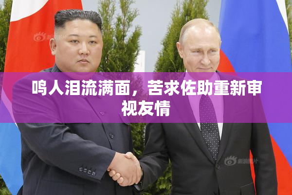 鸣人泪流满面，苦求佐助重新审视友情