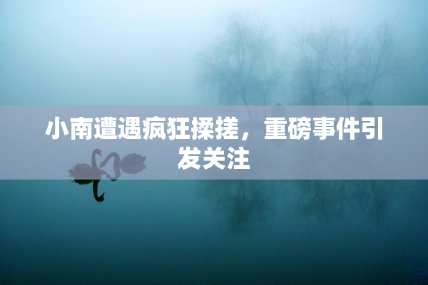 小南遭遇疯狂揉搓，重磅事件引发关注