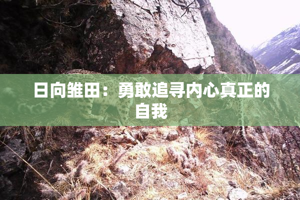 日向雏田：勇敢追寻内心真正的自我