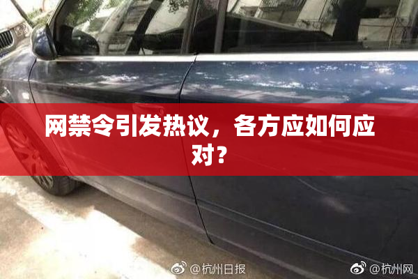 网禁令引发热议，各方应如何应对？