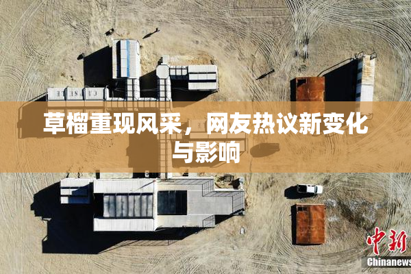 草榴重现风采，网友热议新变化与影响
