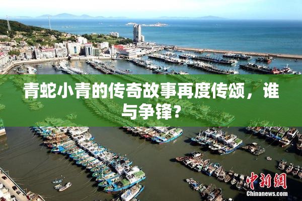 青蛇小青的传奇故事再度传颂，谁与争锋？