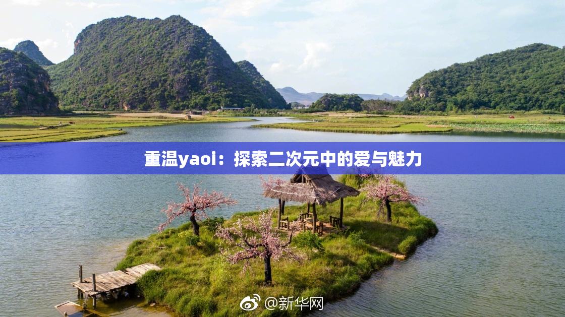 重温yaoi：探索二次元中的爱与魅力